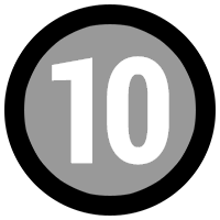 Icon No10