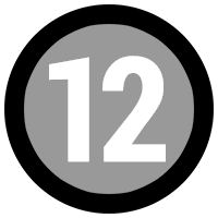 Icon No12